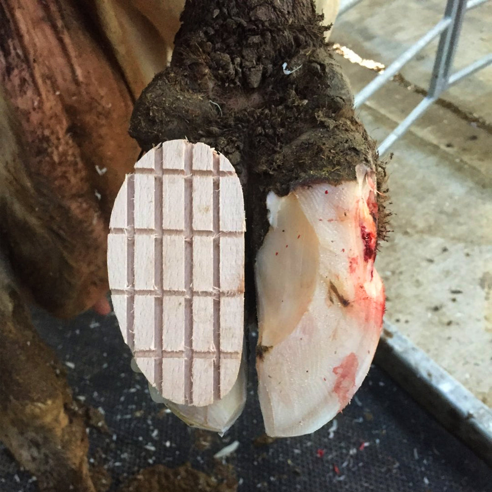 Soletta di legno standard