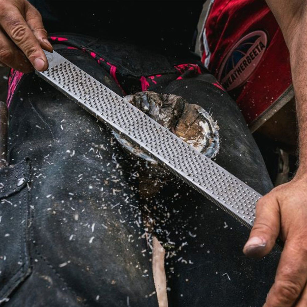 Rasp per Zoccoli, Design Dritto con Taglio della Lima Extra Affilato e Profondo