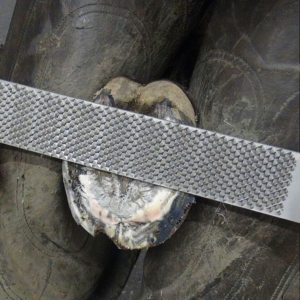 Rasp per Zoccoli, Design Dritto con Taglio della Lima Extra Affilato e Profondo