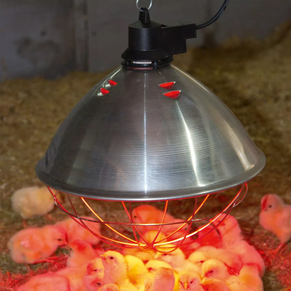 Lampada a infrarossi philips in vetro temperato rosso per suini e galline