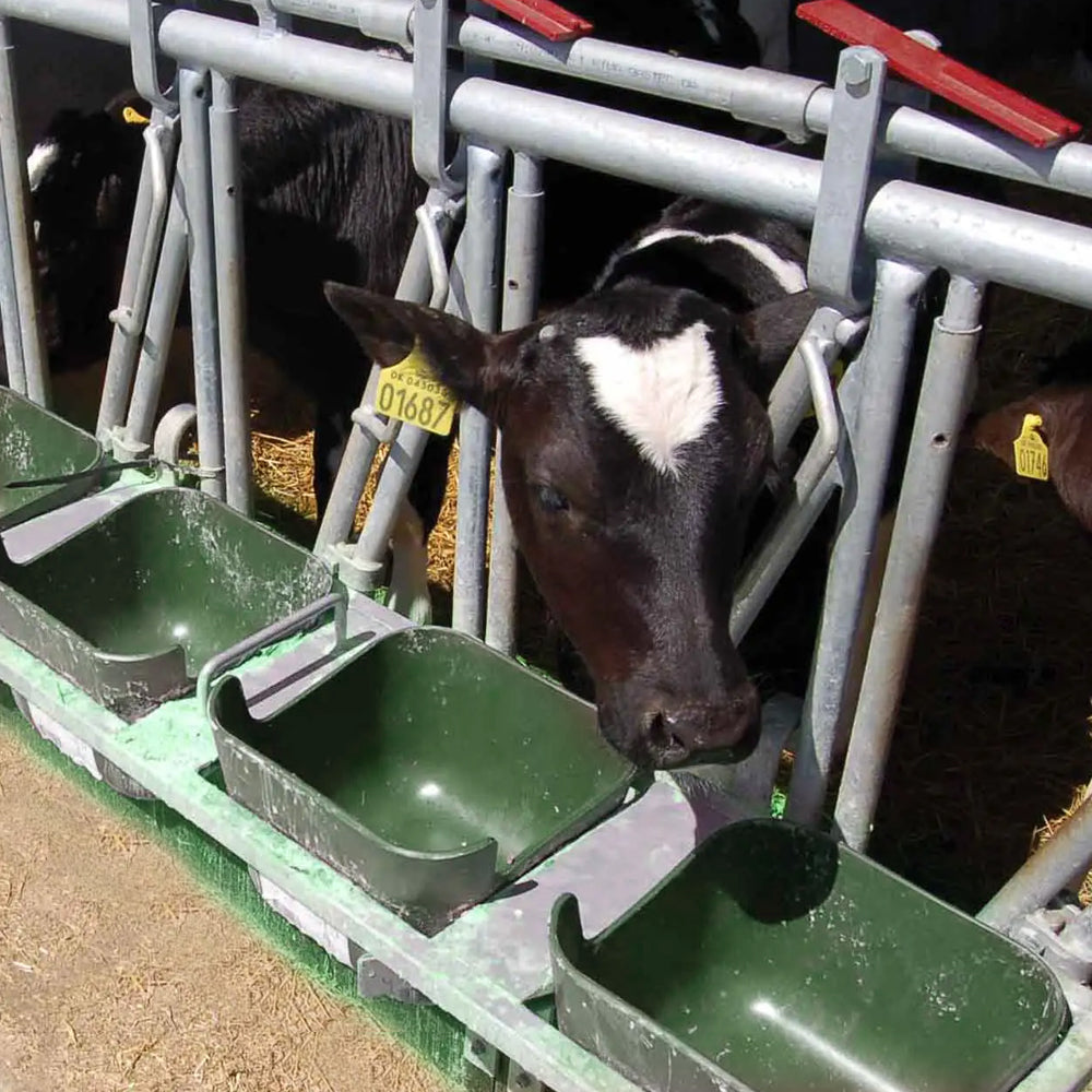 Accessori per vitelli Abbeveratoio per vitelli e pecore