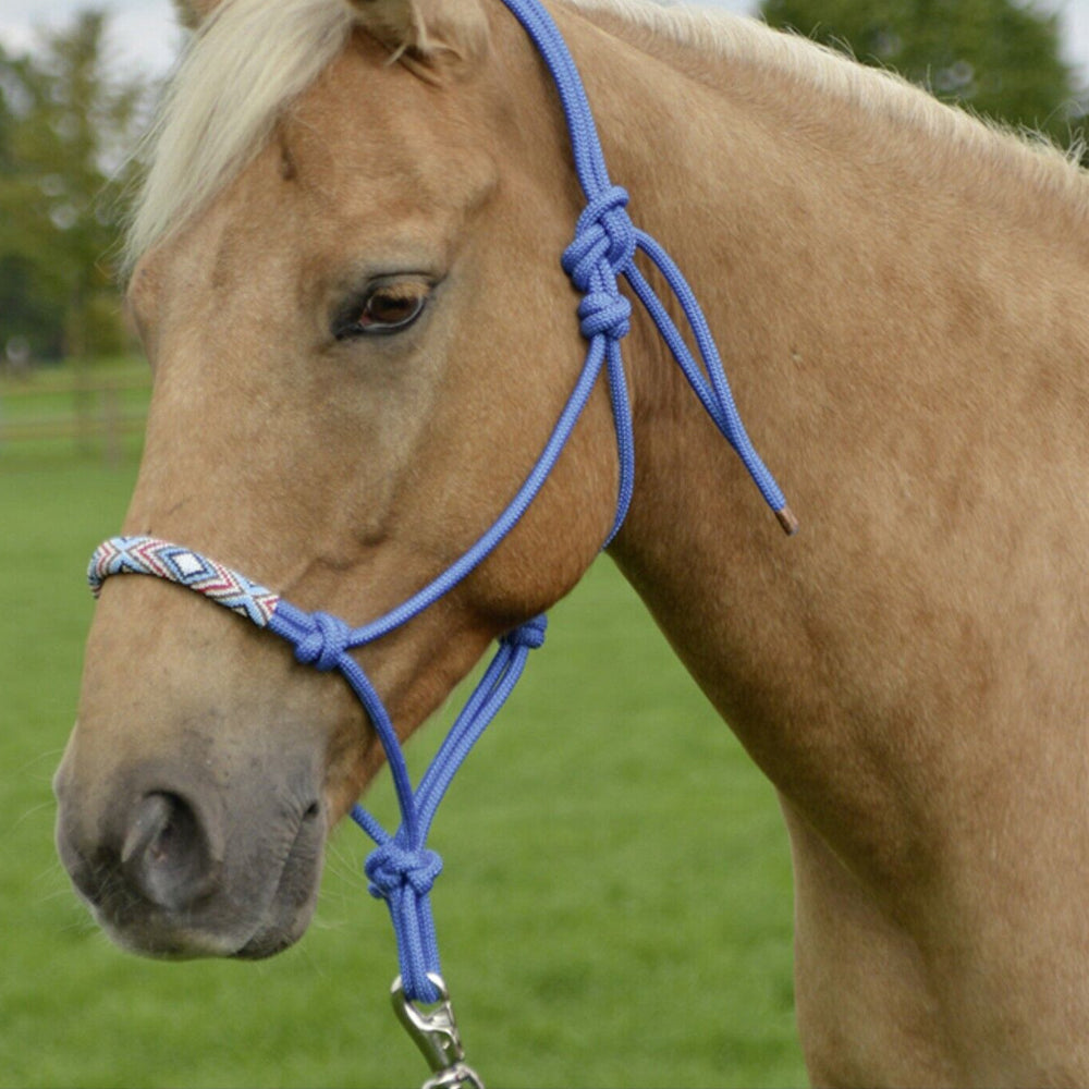 Moschettone zincato con anello girevole per animali