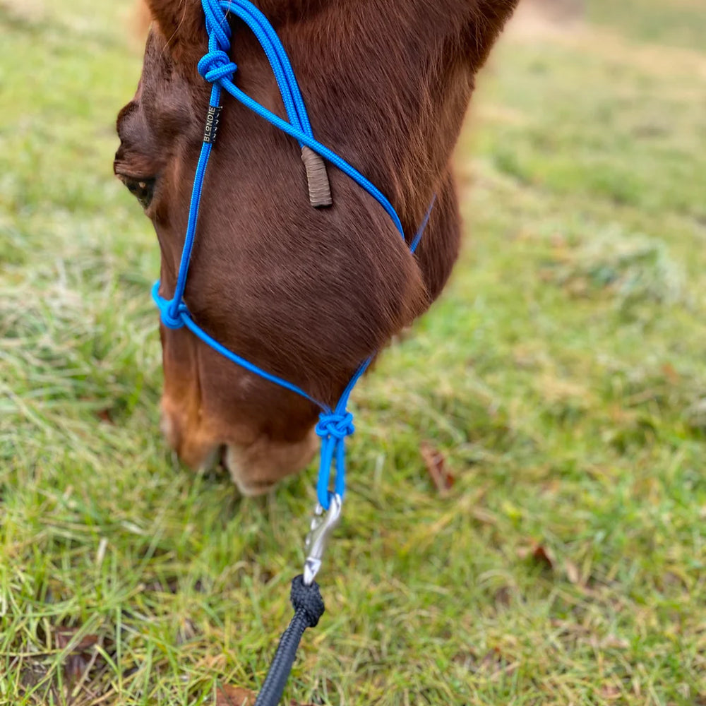 Moschettone zincato con anello girevole per animali