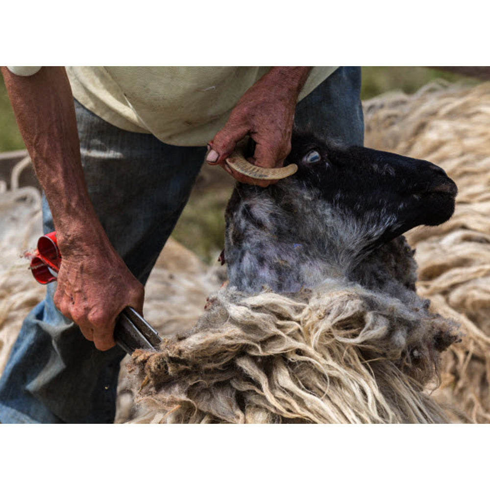 Trimmer a Forma di Cuore con Lame Affilate di Qualità