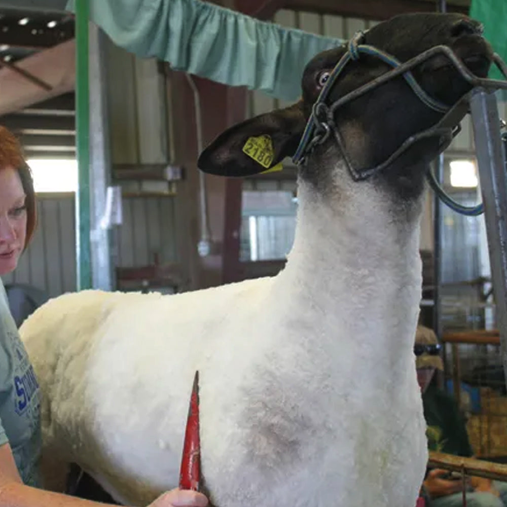 Trimmer a Forma di Cuore con Lame Affilate di Qualità