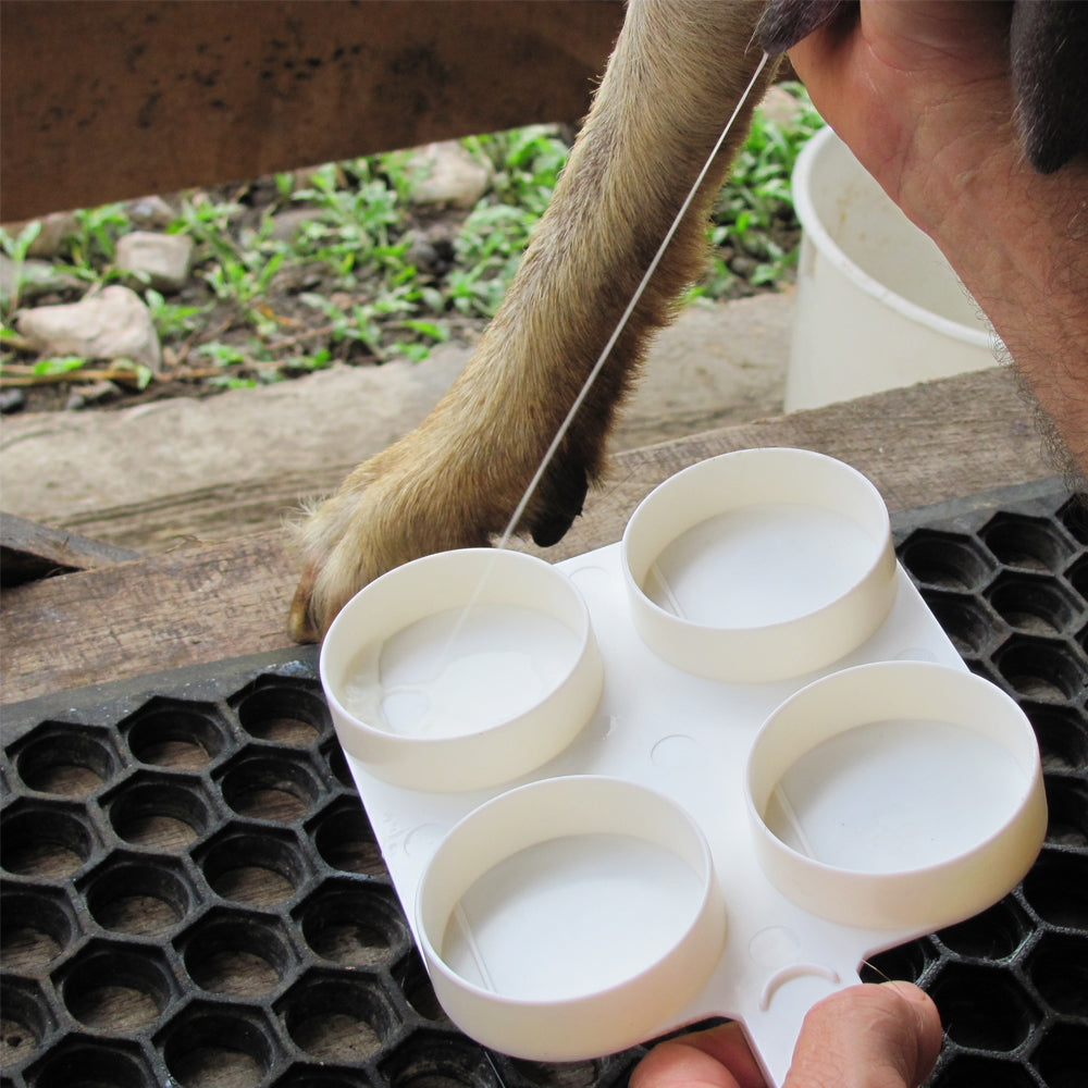 Controllo del latte Vassoio per test SUPER