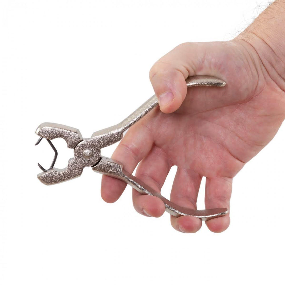 Cambrette da sutura per suini