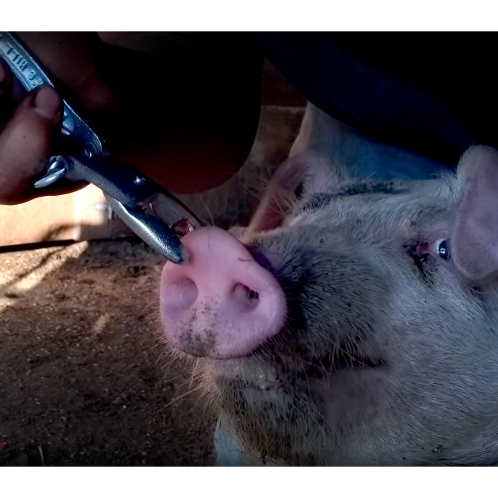 Applicatore di Anelli Pinza per Punti Grifo per Nasale dei Maiali