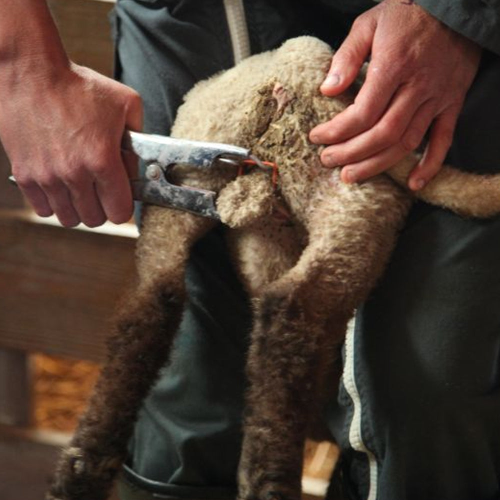 Morsa di stringimento