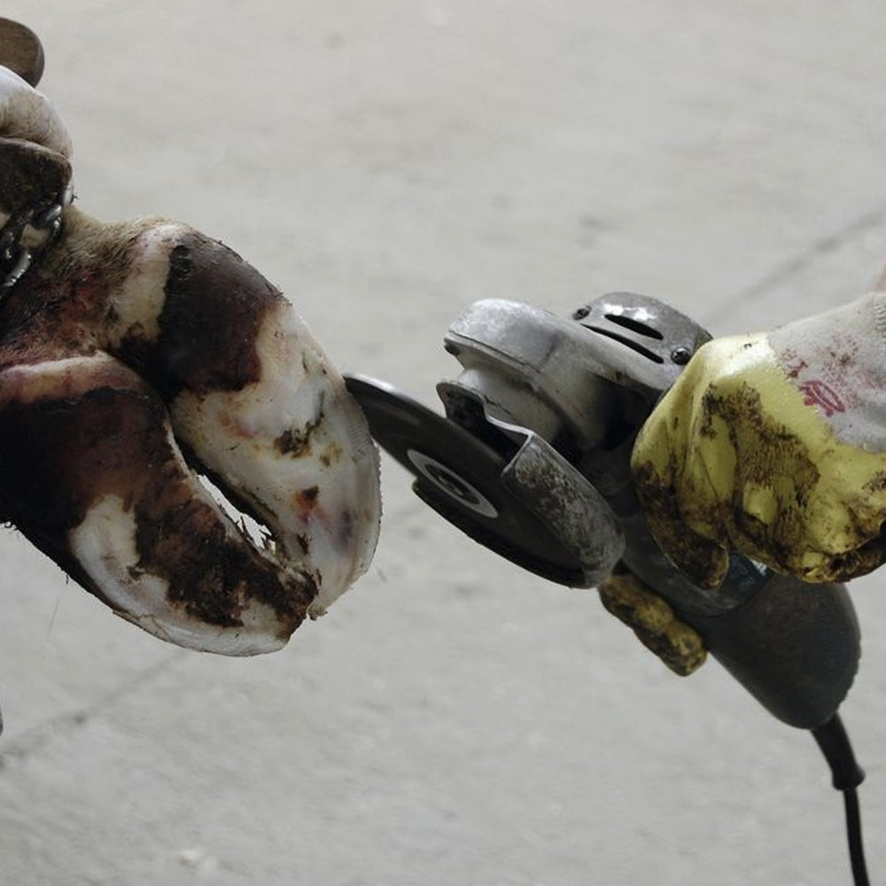 IP Philipsen disco abrasivo