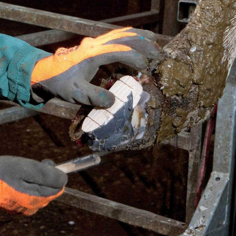 Kit per la cura dello zoccolo TECHNOVIT