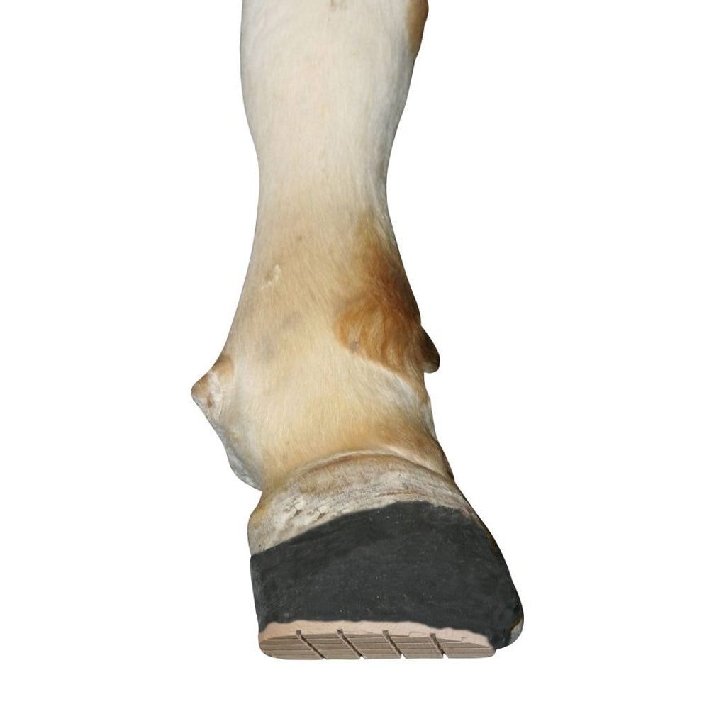 Kit per la cura dello zoccolo TECHNOVIT