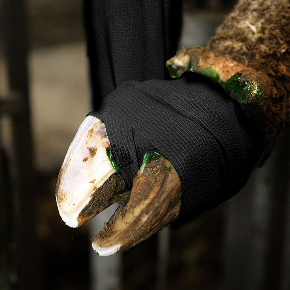 Benda per zoccolo certoplast per fasciatura e applicazione di protettivo