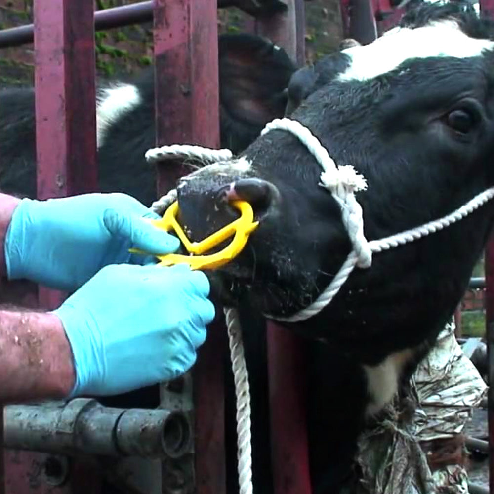 Antisucchio regolabileMüller grande beige