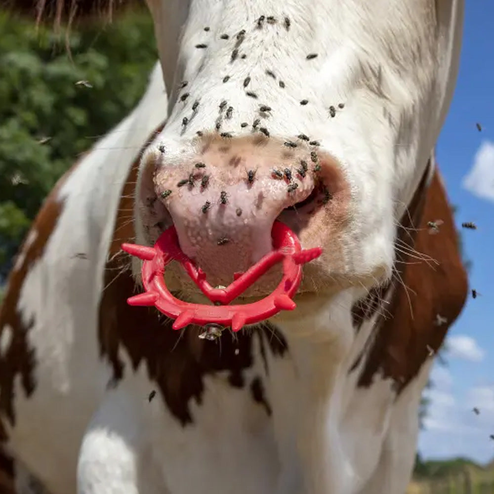 Antisucchio regolabileMüller grande beige