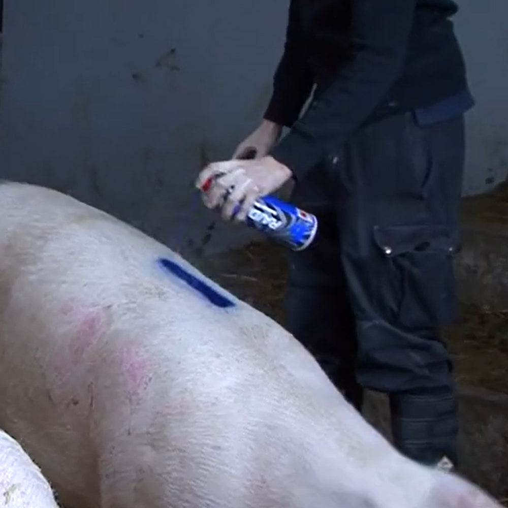 Spray per marcare il bestiame Raidex 400ml