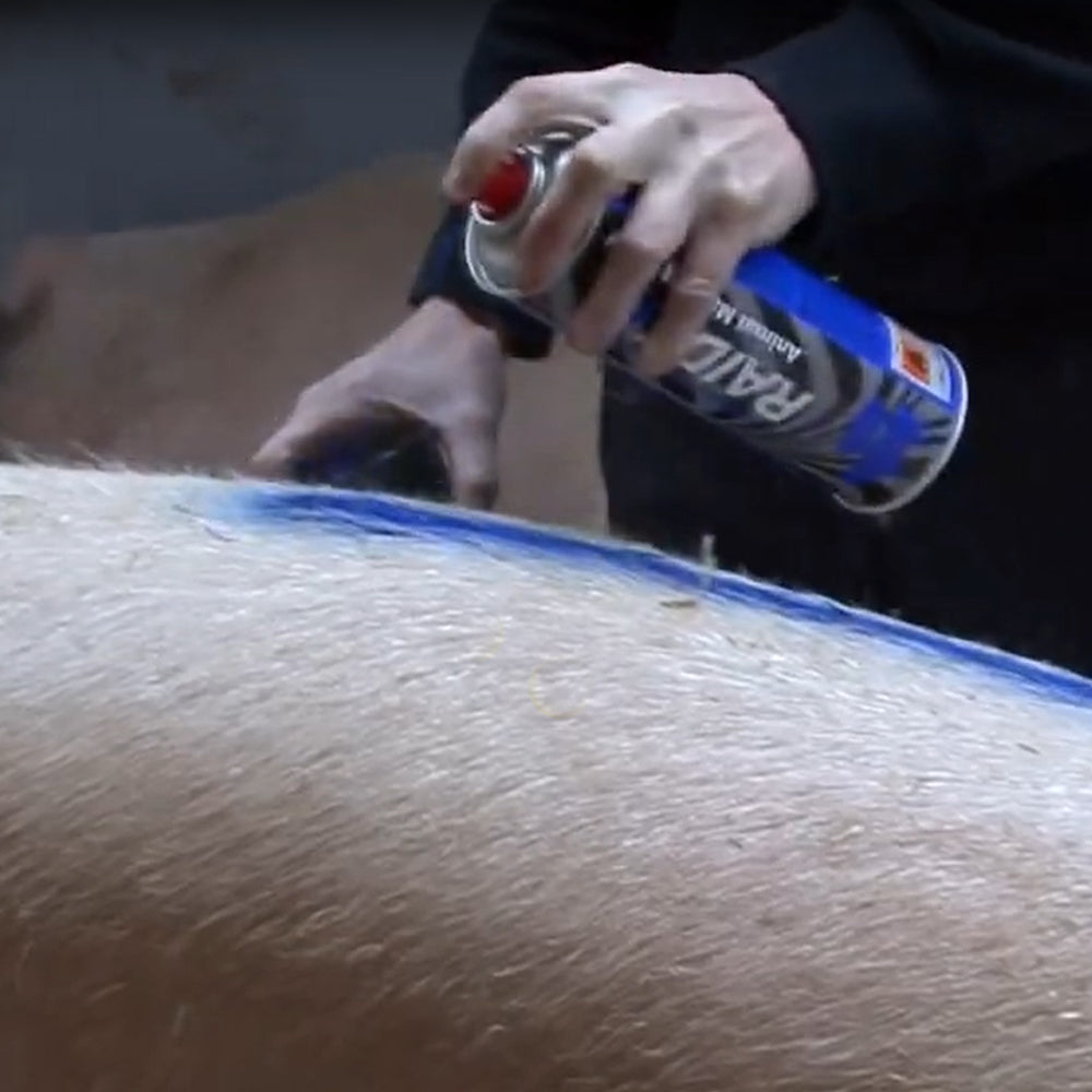 Spray per marcare il bestiame Raidex 400ml