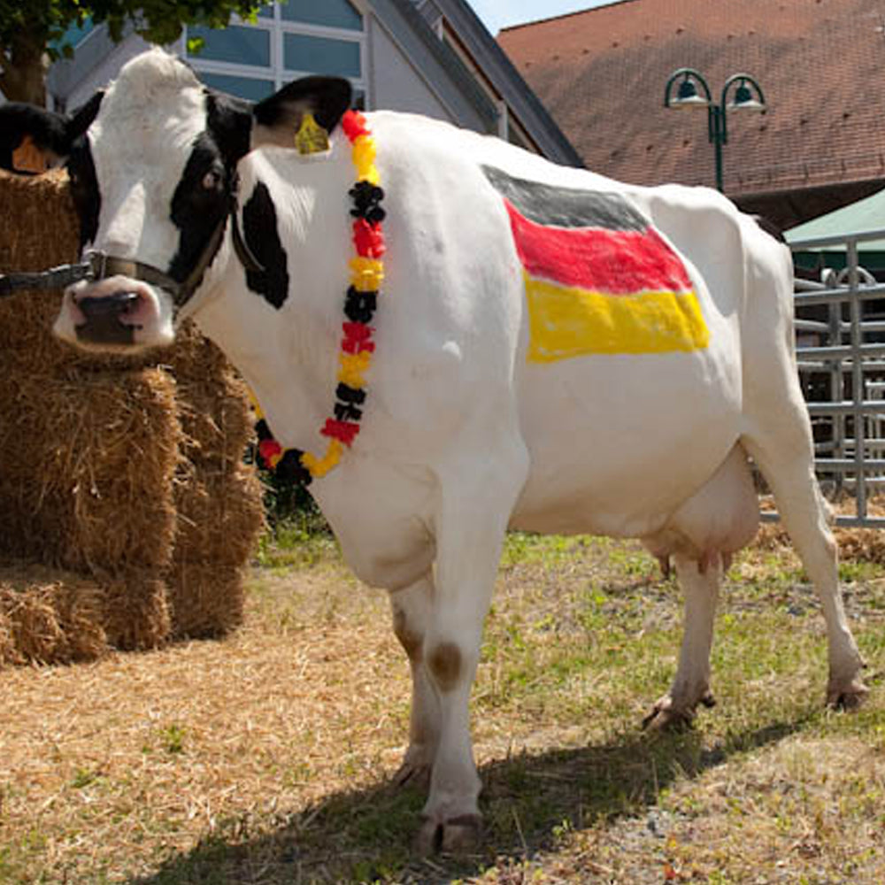 Pennarello per marcare il bestiame Raidex