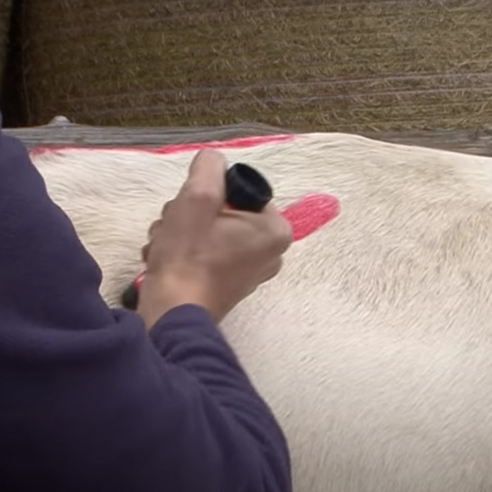 Pennarello per marcare il bestiame Raidex