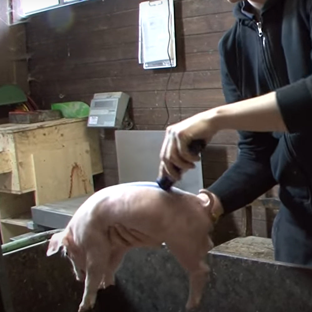 Pennarello per marcare il bestiame Raidex