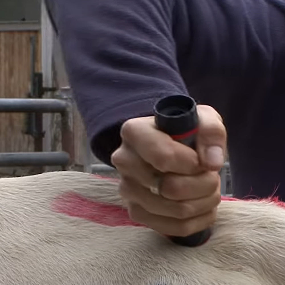 Pennarello per marcare il bestiame Raidex