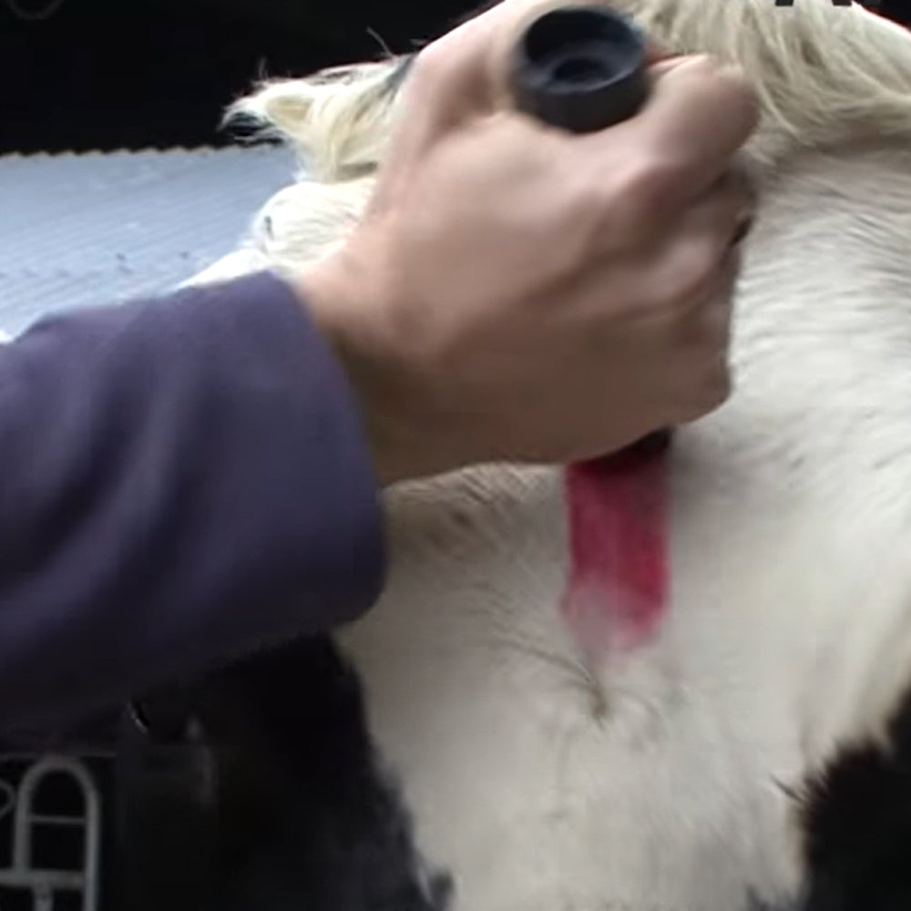 Pennarello per marcare il bestiame Raidex