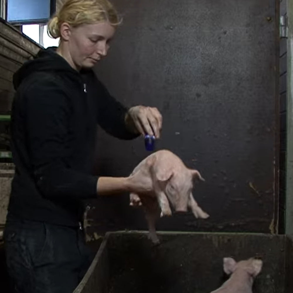 Pennarello per marcare il bestiame Raidex