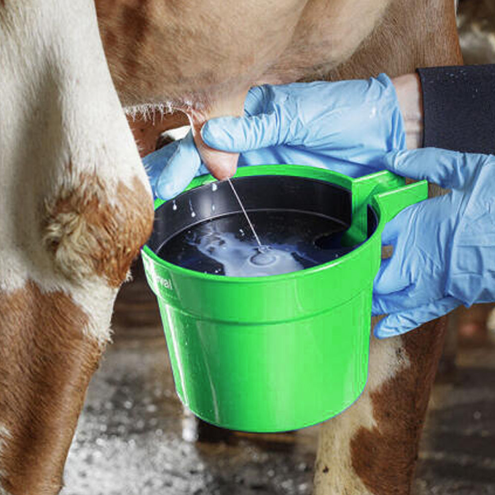 Coppa di premungitura per controllo mastite con filtro