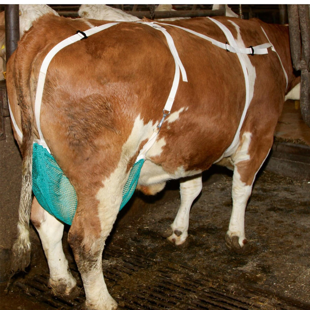 Rete protettiva per capezzoli