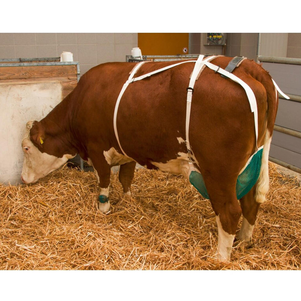 Rete protettiva per capezzoli