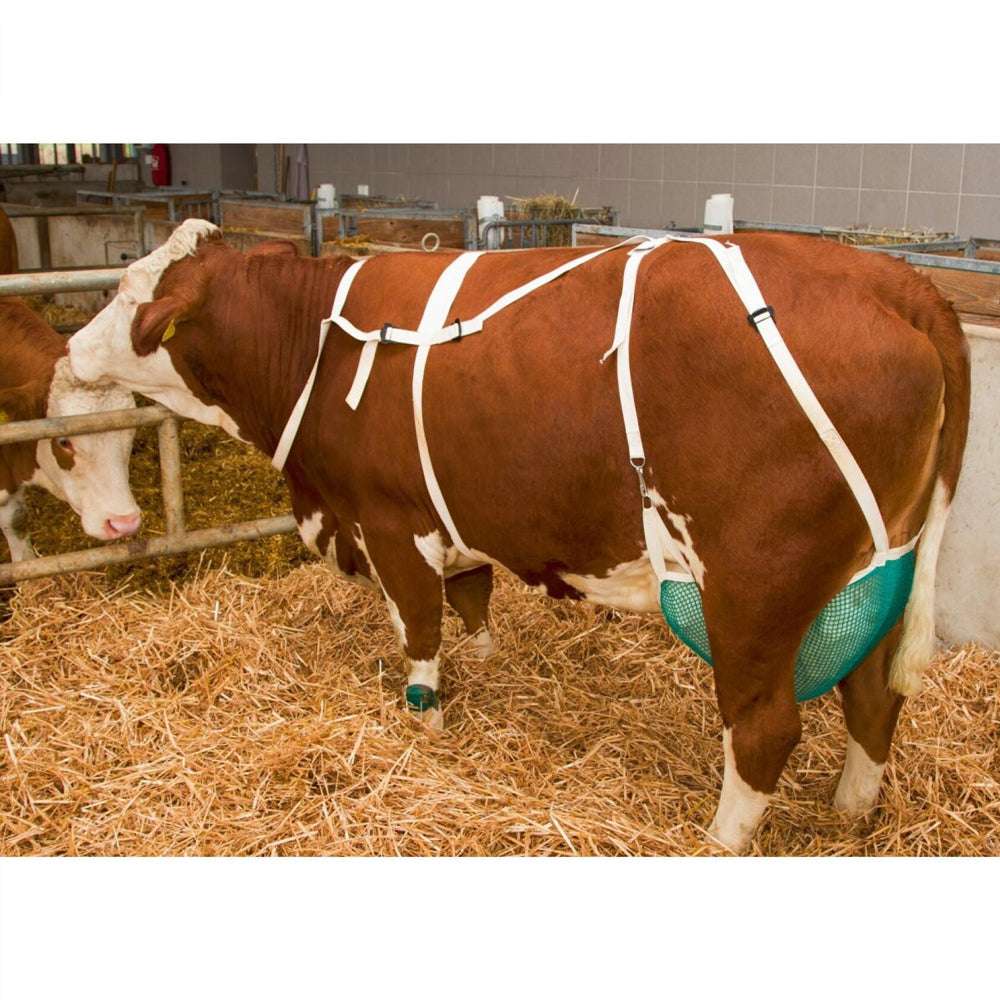 Rete protettiva per capezzoli