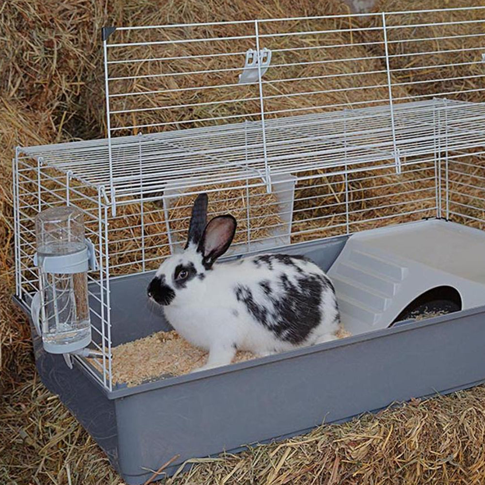 RABBIT 100 Gabbia per conigli e porcellini d'india