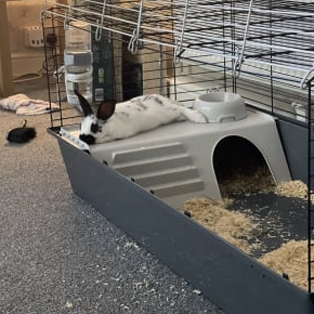 RABBIT 100 Gabbia per conigli e porcellini d'india