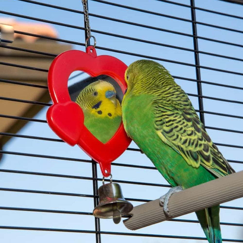 Gioco PA 4212 - Specchietto con Campanello per Canarini e Uccelli Esotici