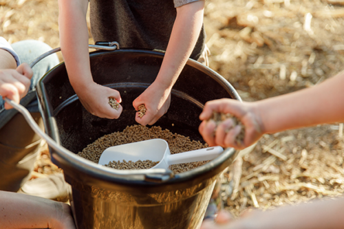 Deuka W/Z Mangime Completo per Quaglie Adulte e Pollame Ornamentale – 25kg