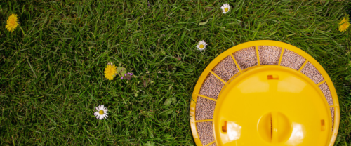 Deuka W/Z Mangime Completo per Quaglie Adulte e Pollame Ornamentale – 25kg