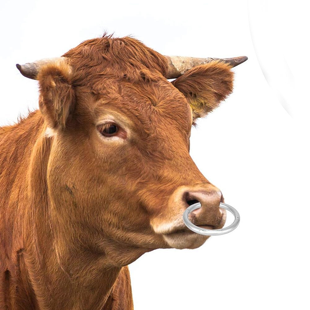 anelli per tori robusti