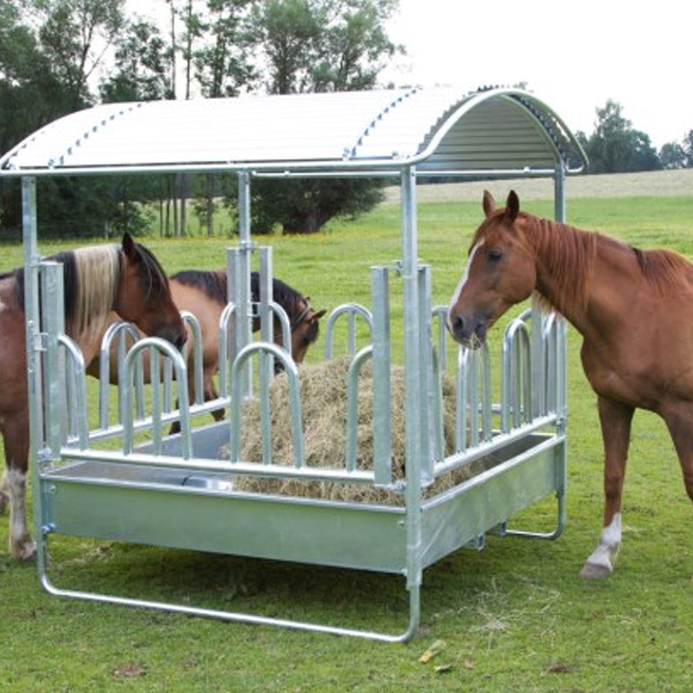 Mangatoia quadrata tipo Palisade