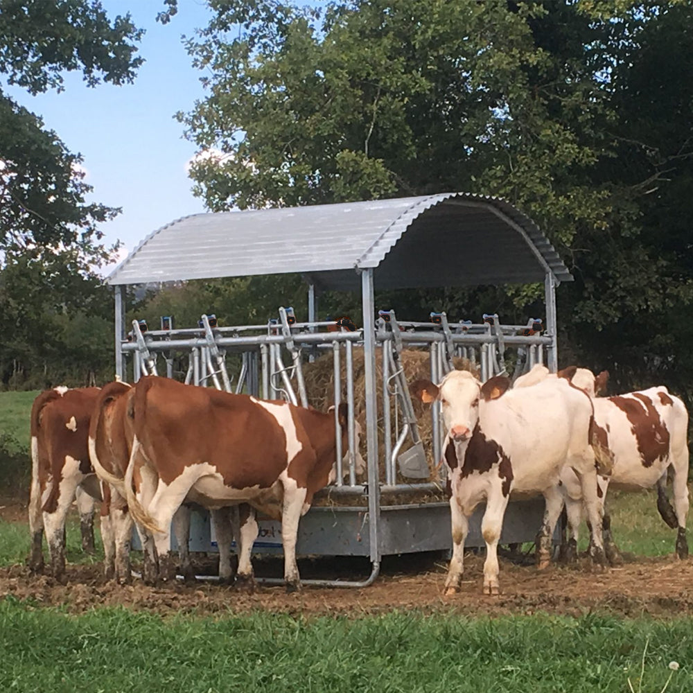 Portaballoni con autocattura antisoffocamento 12 posti