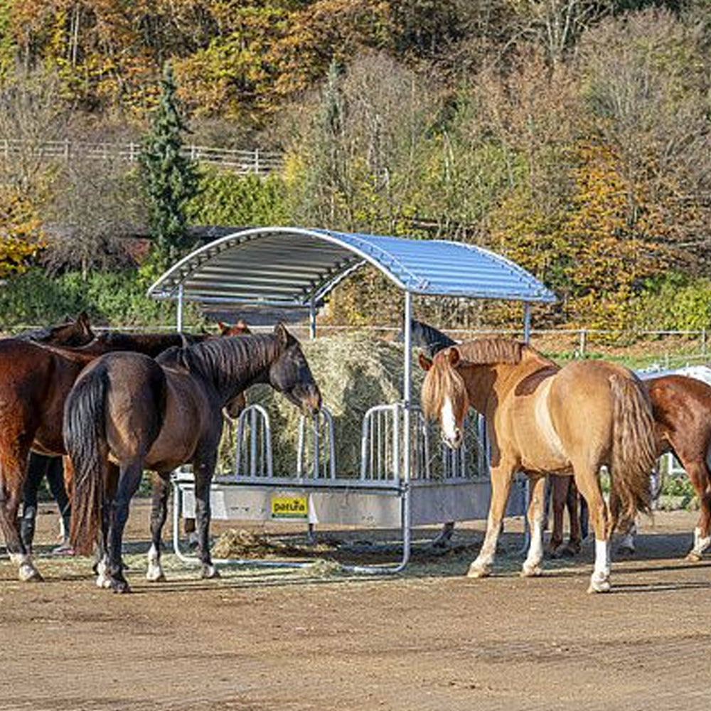 portaballoni coperto 17 palloni