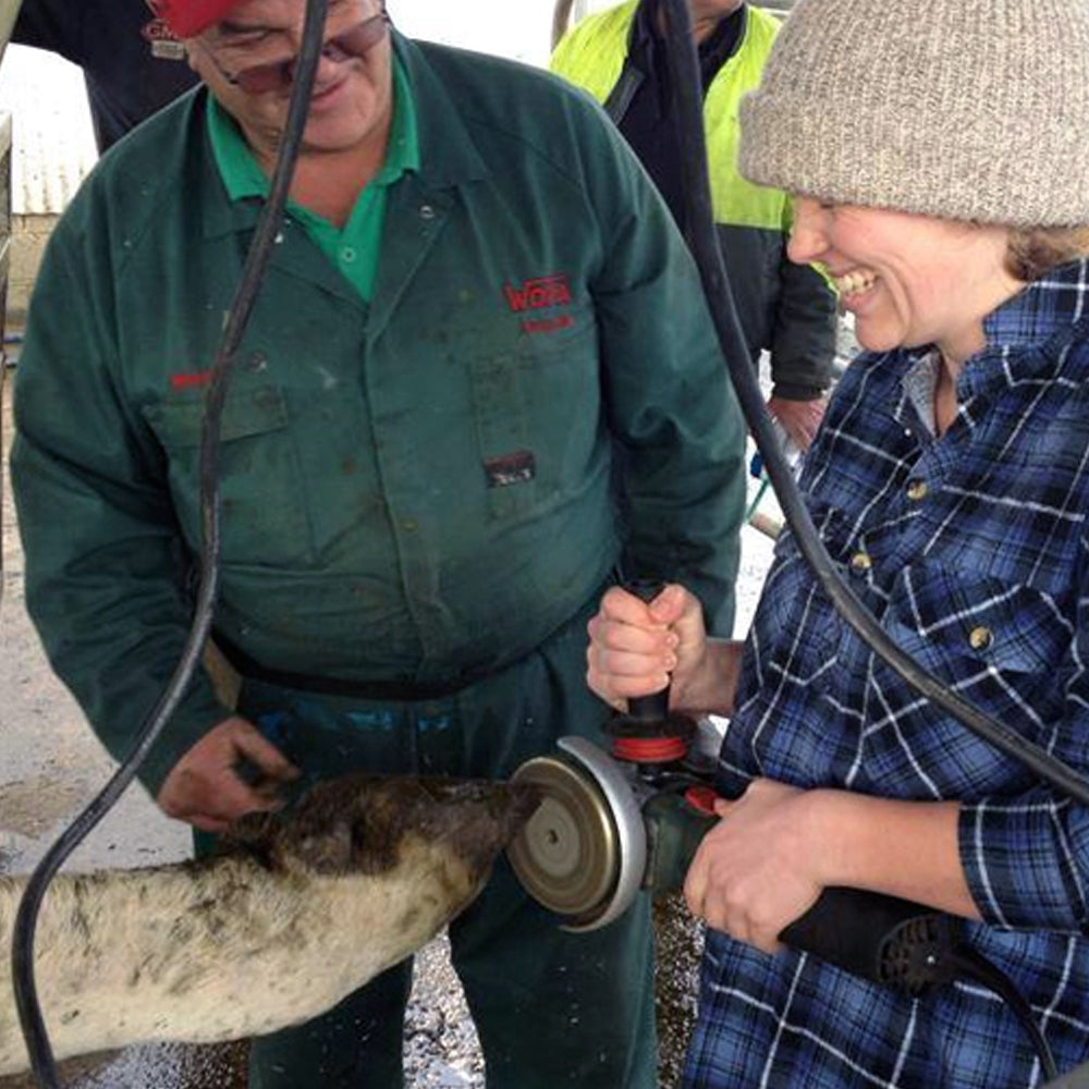 Disco Da Parziale Per La Cura Degli Zoccoli