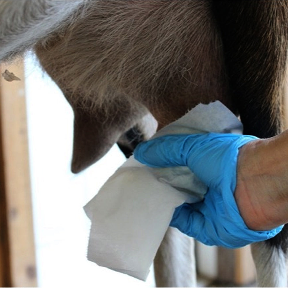 pulizia mammelle animali