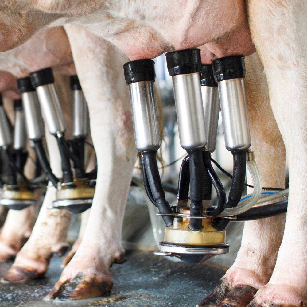 Tubo vuoto gemellare