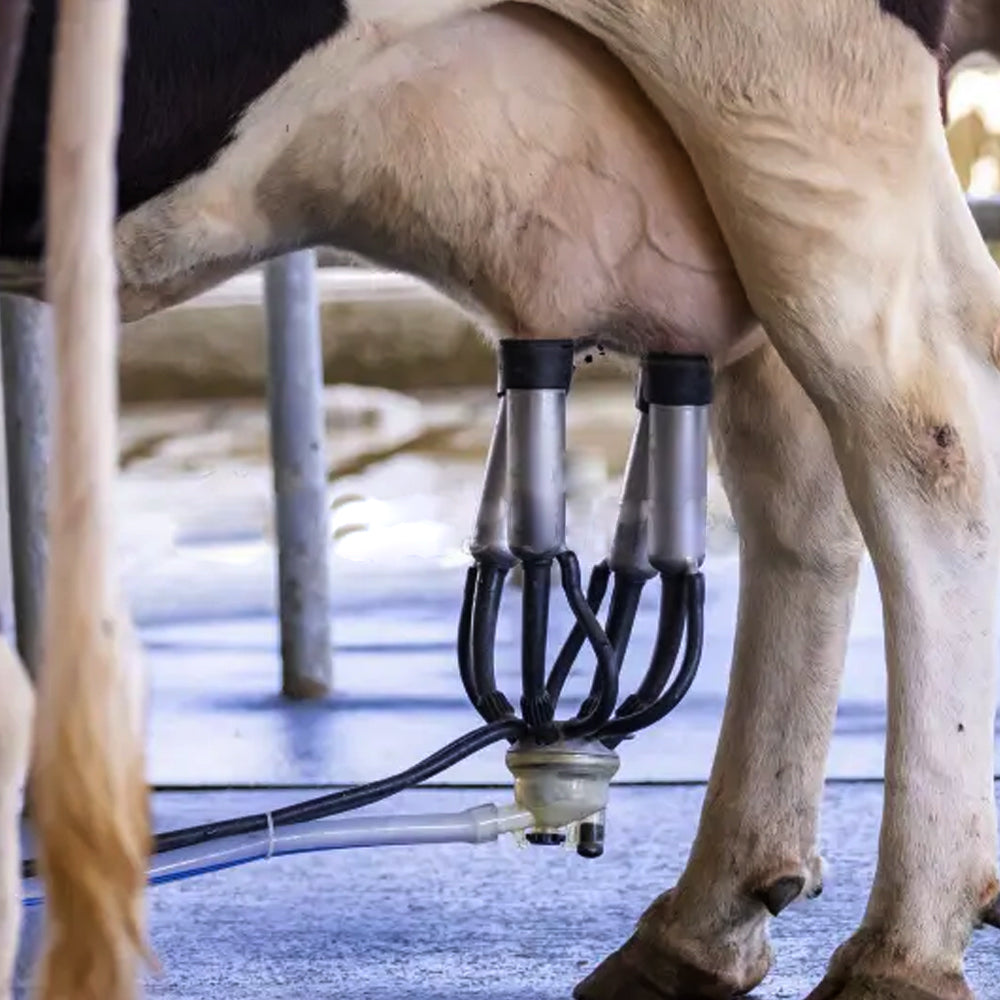 Tubo vuoto gemellare