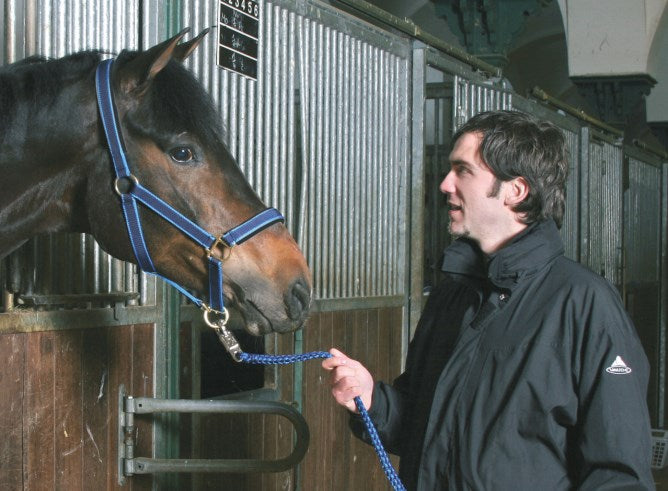 Cavezza nylon con chiusura moschettone