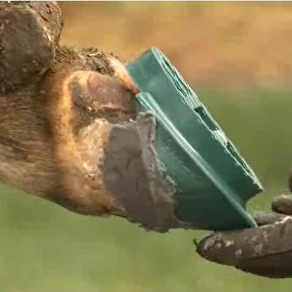 Demotec Easy Bloc - kit per la cura degli zoccoli