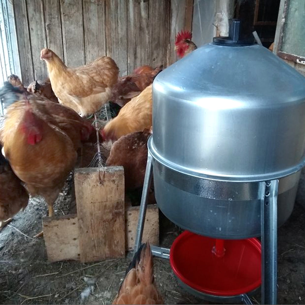 Abbeveratoio a sifone 30 L per pollame in metallo