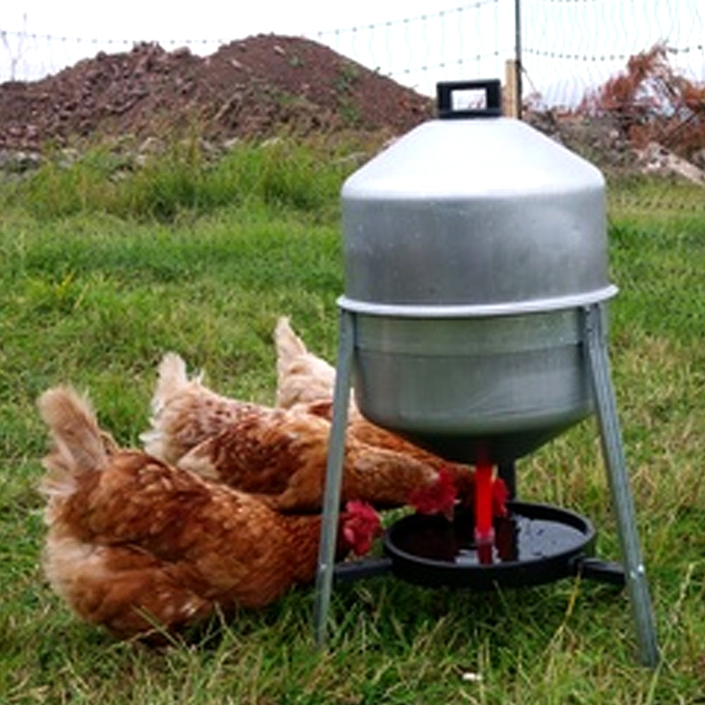 Abbeveratoio a sifone 30 L per pollame in metallo