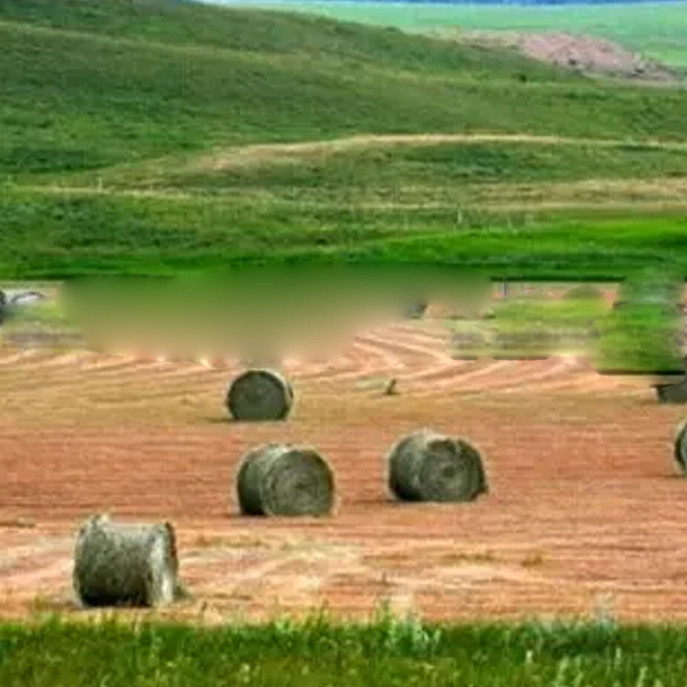 Rete per balloni Starnet/Agritura/Starbale