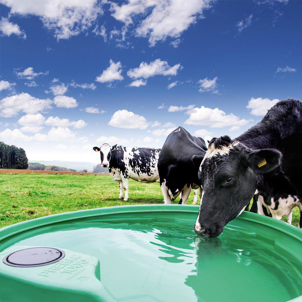 Valvola ad Alta Pressione con Galleggiante per Abbeveratoi per Pascoli